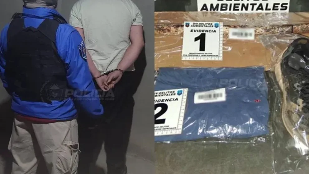 Detuvieron a un hombre por maltrato animal tras un allanamiento en el oeste neuquino