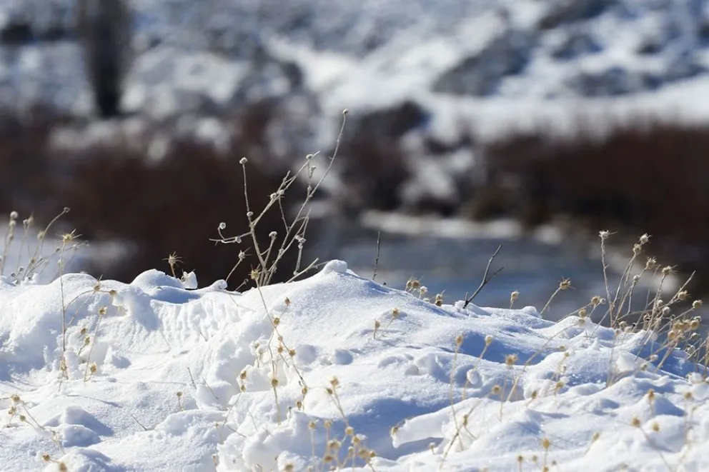 Se esperan fuertes nevadas y viento para el fin de semana
