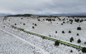 El Tren Patagónico restablece el servicio entre Viedma y Bariloche desde este viernes