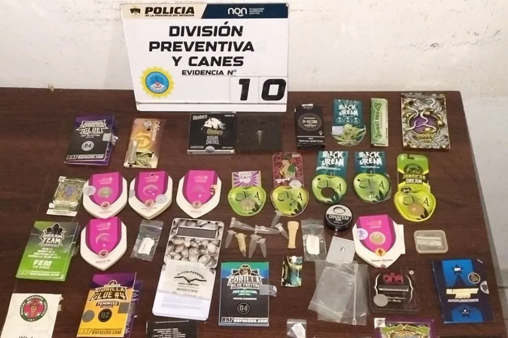 Secuestraron 407 gramos de cannabis, 64 plantines y dinero durante un allanamiento