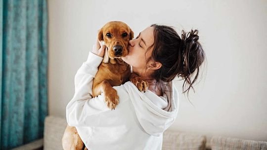 8 de cada 10 argentinos tienen una mascota y casi todos la consideran “integrante” de la familia