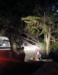 Reporte del temporal de fuertes vientos en la localidad.