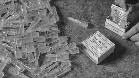 El día que nació la vacuna BCG: un siglo de resistencia global contra la tuberculosis