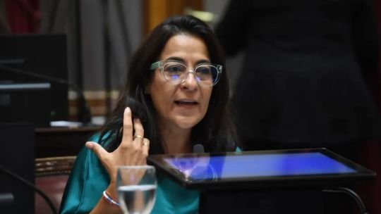 Senadora Carolina Moisés: llamar ley de inviolabilidad es falaz porque en Argentina la propiedad ya es inviolable