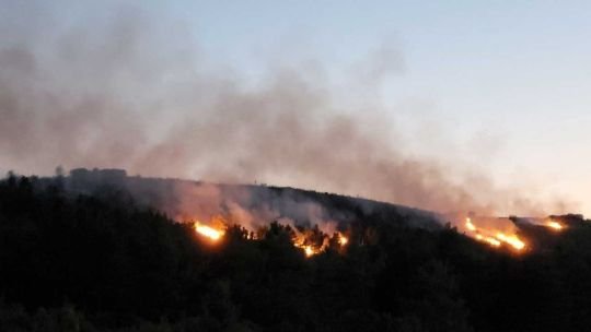 Calor extremo desata incendios que arrasan miles de hectáreas de bosques en varios países de Europa
