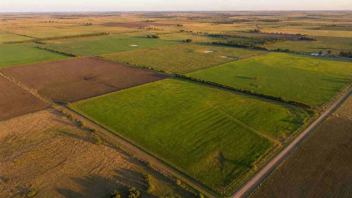 Ley de Tierras: cómo regulan Brasil, Uruguay y Paraguay la compra de campos por extranjeros y qué cambia el proyecto de Milei