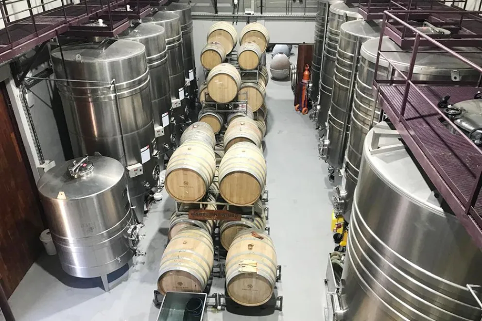 Bodega Mabellini, una nueva experiencia para descubrir y recomendar