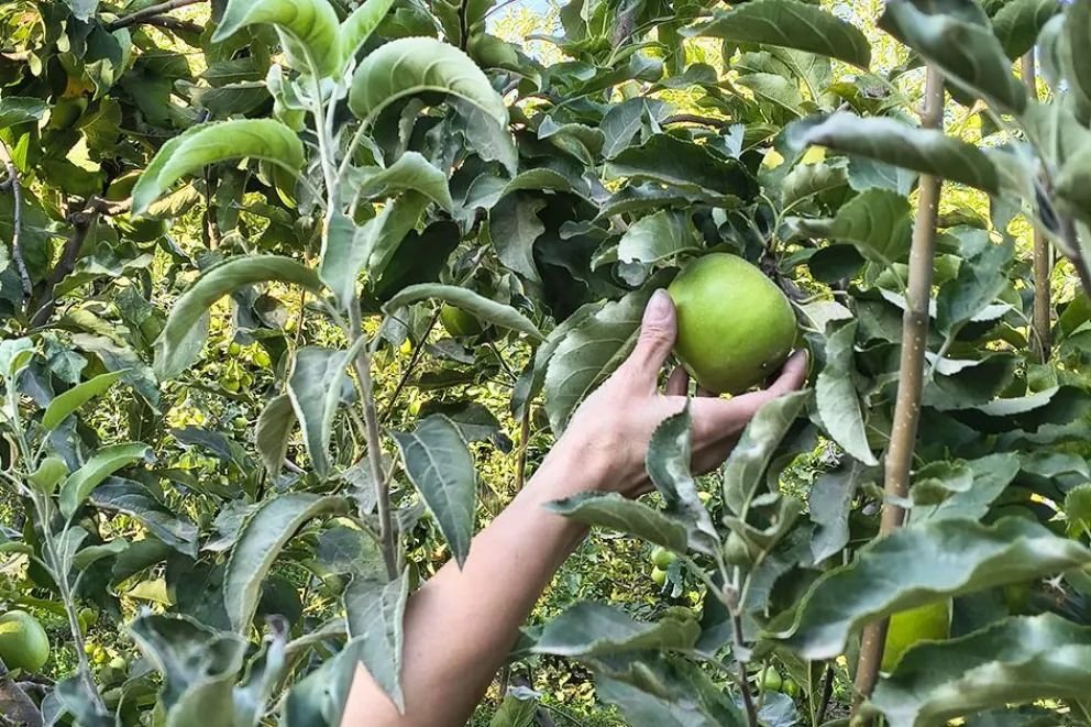 El sector frutícola respaldó el proyecto de ley para proteger las tierras productivas bajo riego