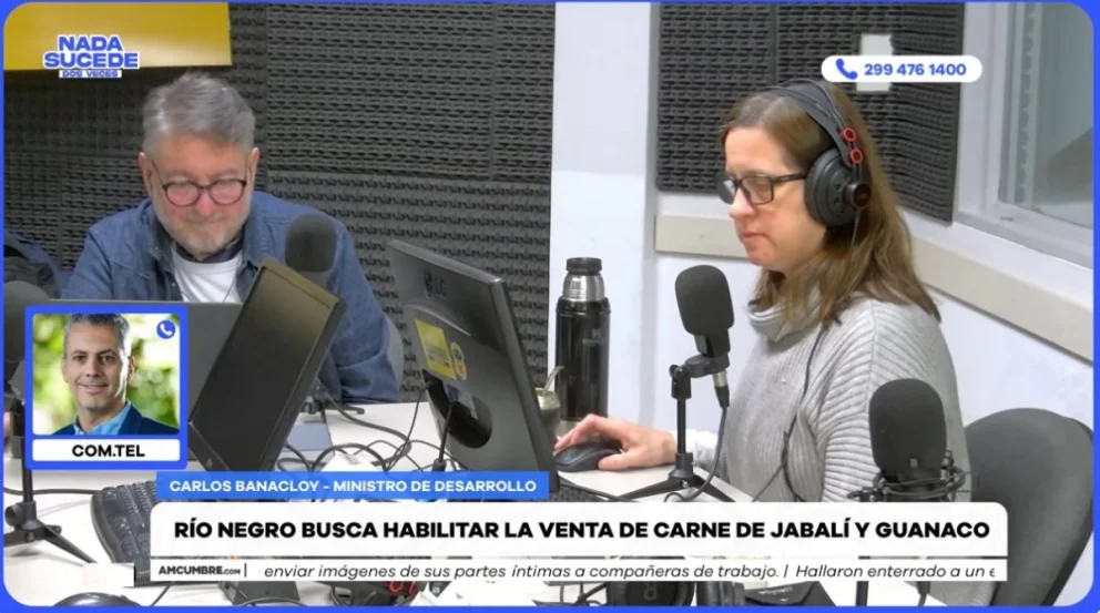 Río Negro y la venta de carne de jabalí y guanaco en carnicerías: cómo es el proyecto