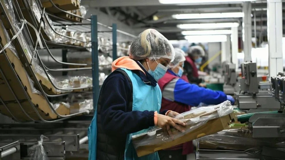 RIMI: productores de Río Negro podrán invertir en energía solar sin monto mínimo y con beneficios fiscales