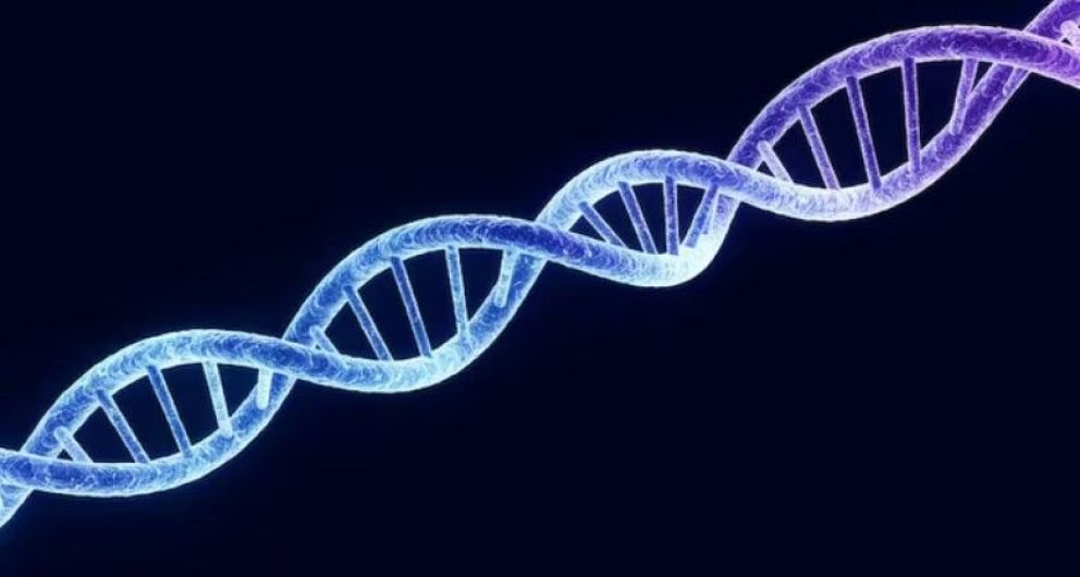 La ciencia desarma prejuicios y revela un ADN argentino con raíces en cuatro continentes