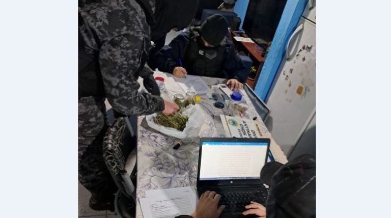 Un kilo de marihuana y dos ratas que terminaron presas