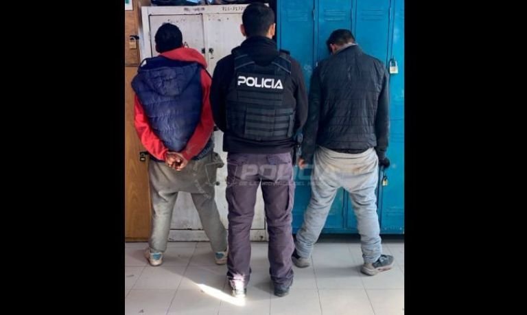 Dos zaparrastrosos se robaron un Audi: no llegaron lejos