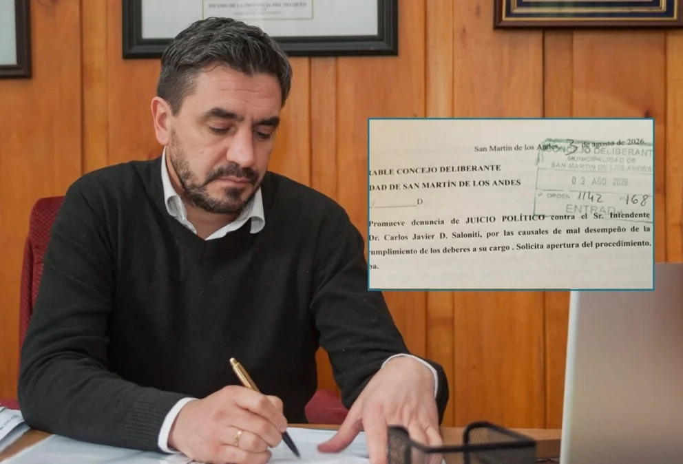 Piden el juicio político al intendente de San Martín de los Andes: los motivos de la presentación