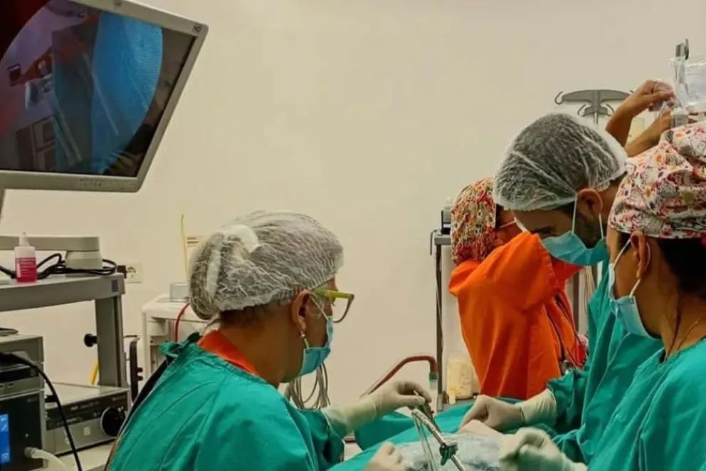 Neuquén refuerza el sistema público de salud con 103 nuevos profesionales