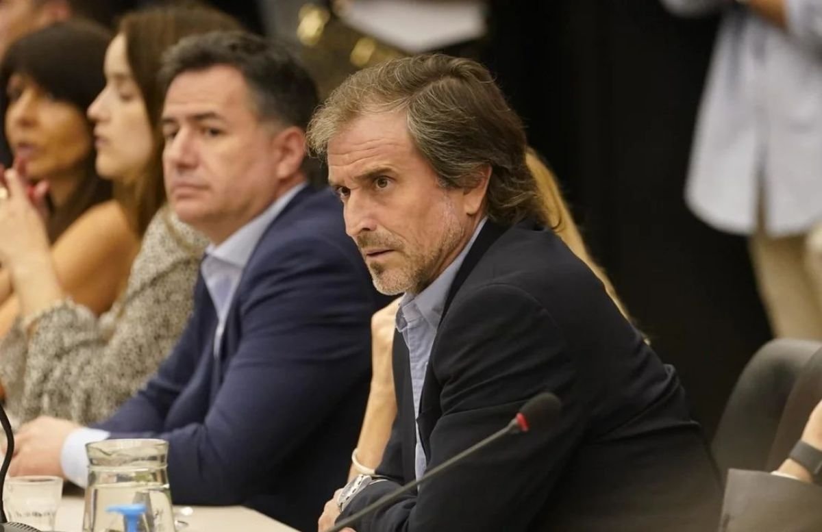La polémica frase de Benegas Lynch sobre el aumento de la morosidad
