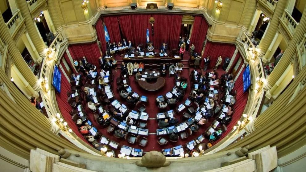 Senado: aprobaron la Ley de Propiedad Privada tras retirar dos de los capítulos más polémicos