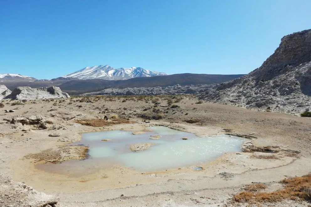 Un viaje al Jurásico: la experiencia para descubrir el “Mar de Vaca Muerta”
