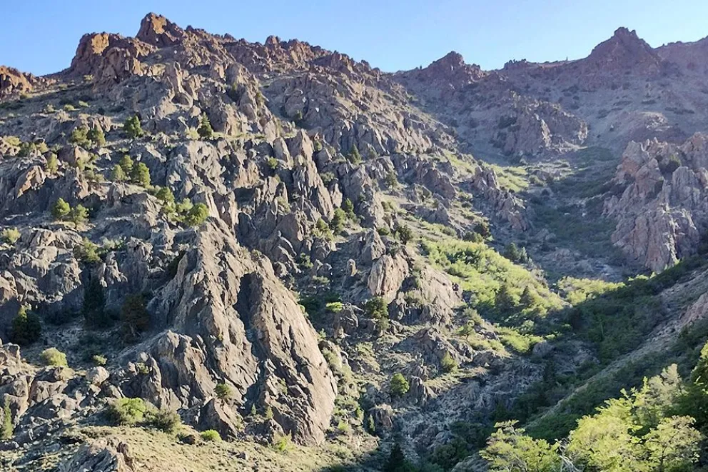 Cañada Molina, el refugio de los cipreses más antiguos del país