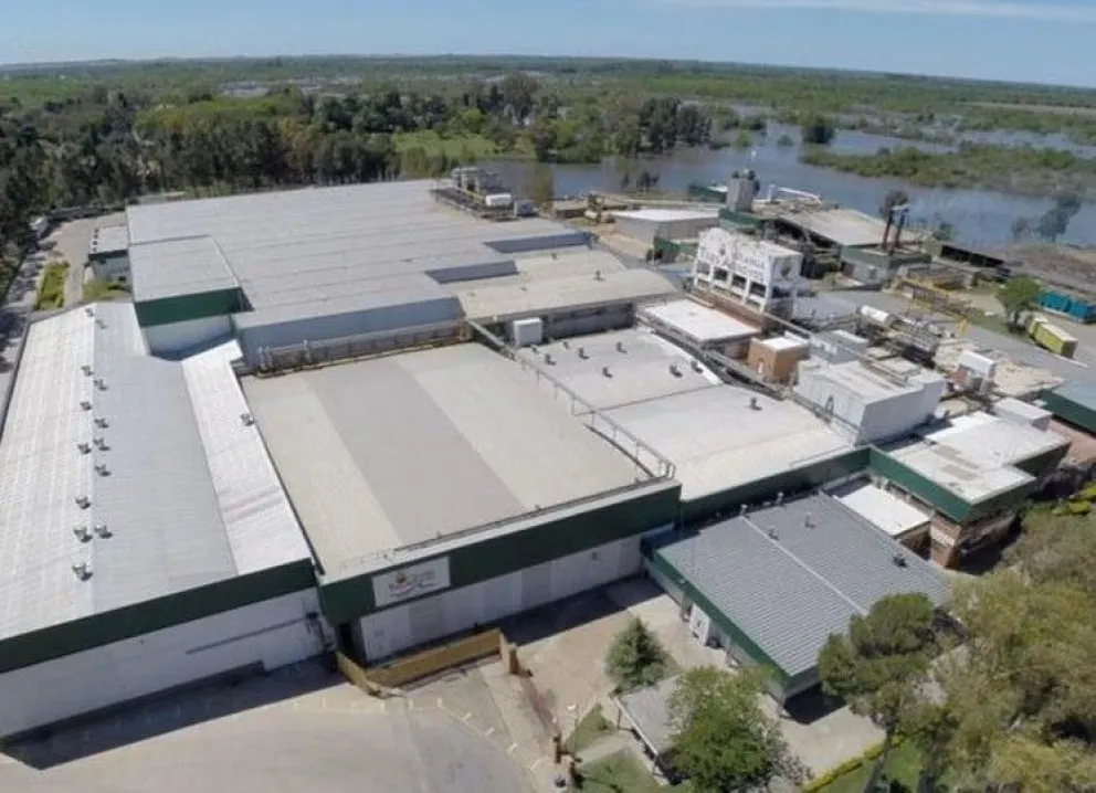Granja Tres Arroyos despidió a 260 empleados argumentando caída de la actividad por la gripe aviar