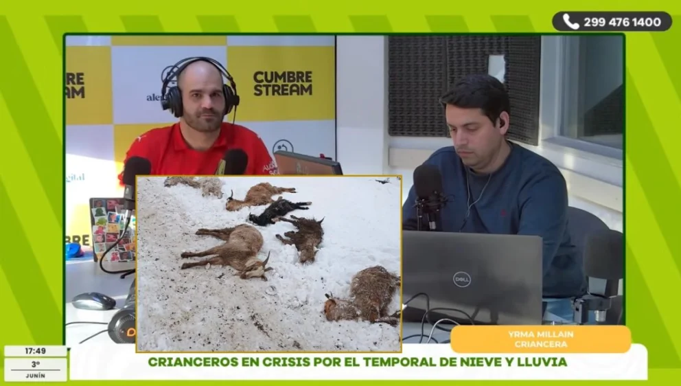 La nieve golpea a los crianceros y la Provincia multiplica esfuerzos en rutas y comunidades