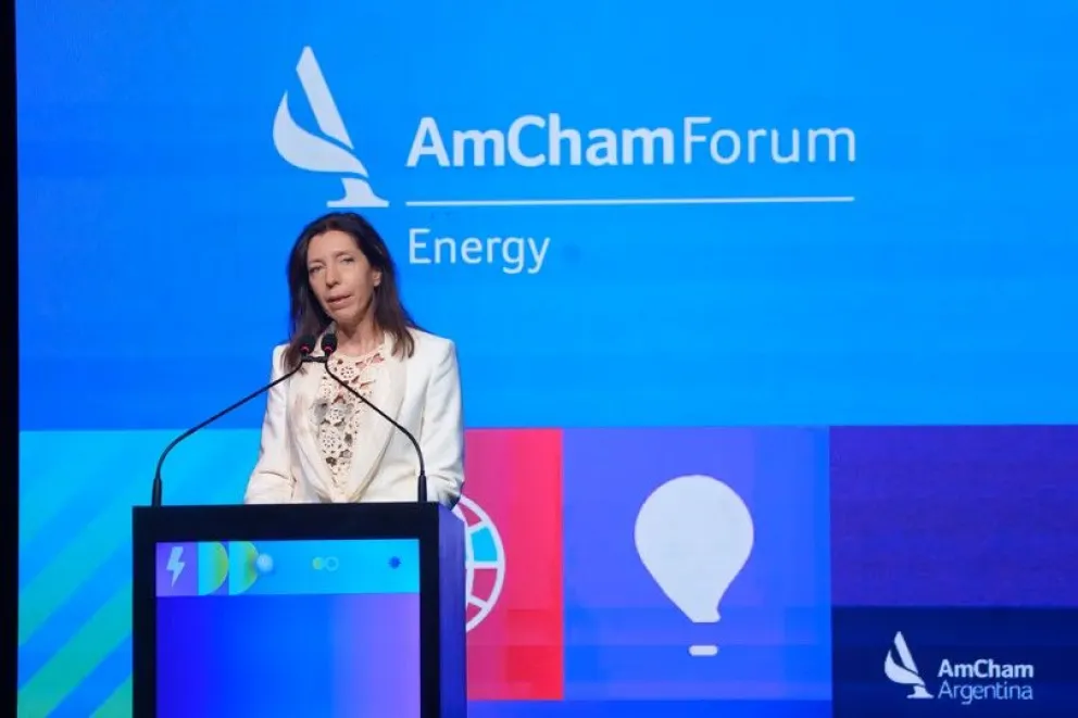 Cuáles son los desafíos que plantearon empresarios estadounidenses para el sector energético