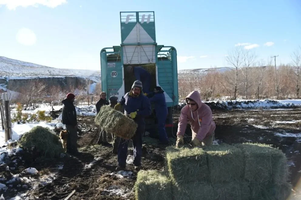Crianceros bajo la nieve: la Provincia refuerza ayuda y recupera caminos rurales
