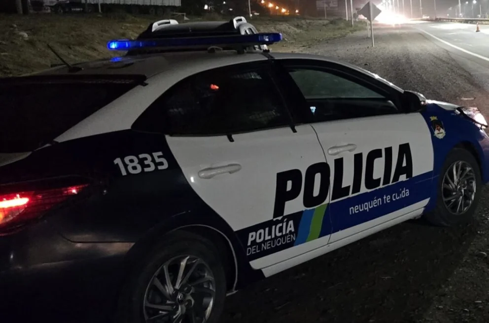 Un auto chocó contra un caballo en Vista Alegre