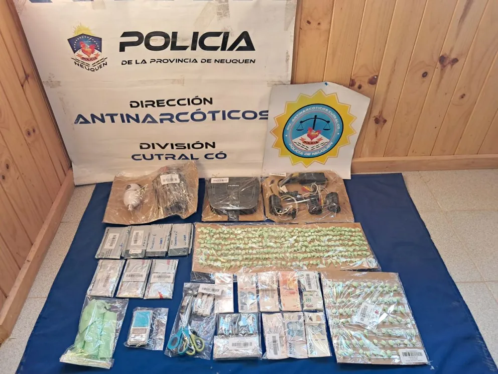 La policía neuquina secuestró cocaína valuada en  millones