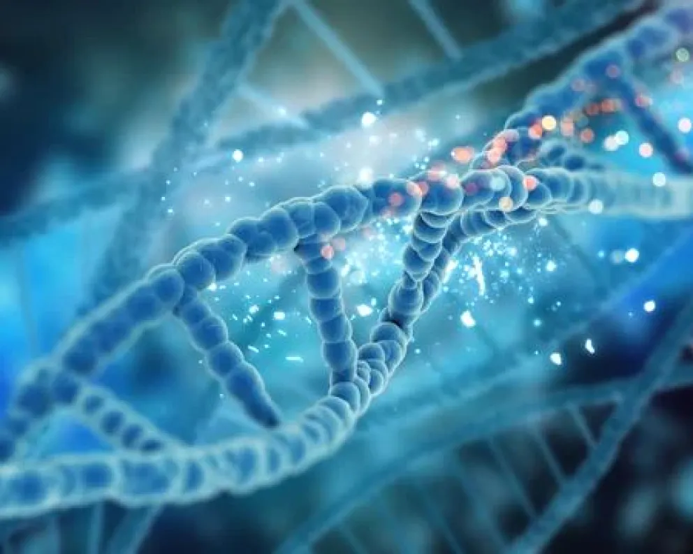 El ADN, una brújula genética que orienta a la ciencia y la toma de decisiones