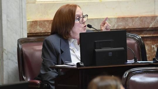 Alejandra Vigo afirmó que el proyecto de propiedad privada terminó siendo “un verdadero mamarracho”