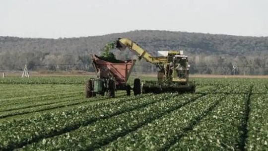 Por qué el campo argentino pide ser considerado un “súper RIGI” por sus inversiones