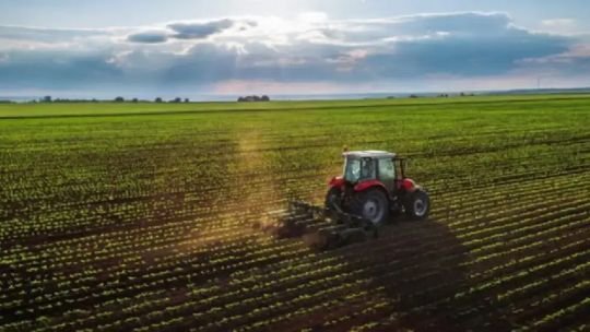 En medio del debate por la Ley de Tierras, para la agenda agropecuaria de hoy “la urgencia es otra”