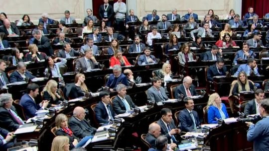 El nuevo frente opositor en Diputados pidió sesión para tratar la emergencia en Discapacidad y la situación de las familias endeudadas