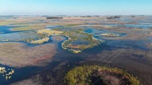 La temperatura récord en el Pacífico alertó a los especialistas por el impacto del “Súper El Niño” en Argentina
