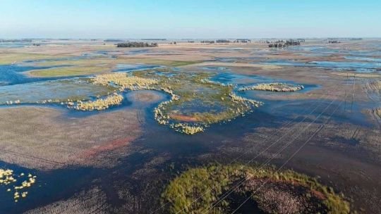 La temperatura récord en el Pacífico alertó a los especialistas por el impacto del “Súper El Niño” en Argentina