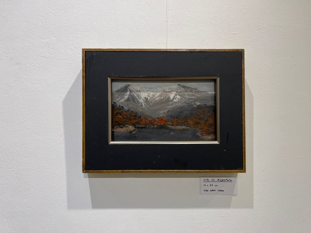 Se Inauguro en el MAC la muestra “La Patagonia y un nuevo camino Pictorico” de Raquel Janda Varona