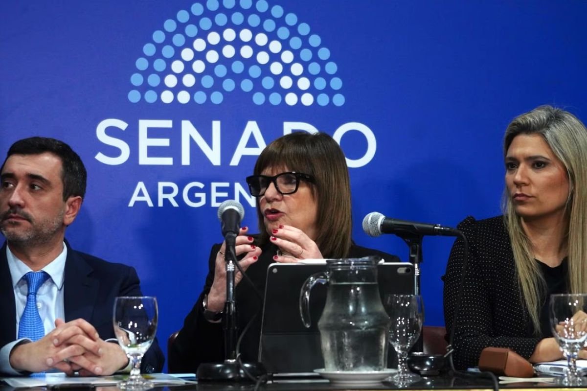 Bullrich ratificó que el tope de extranjerización de tierras pasará al 25% y señaló: “Se gana por un voto”