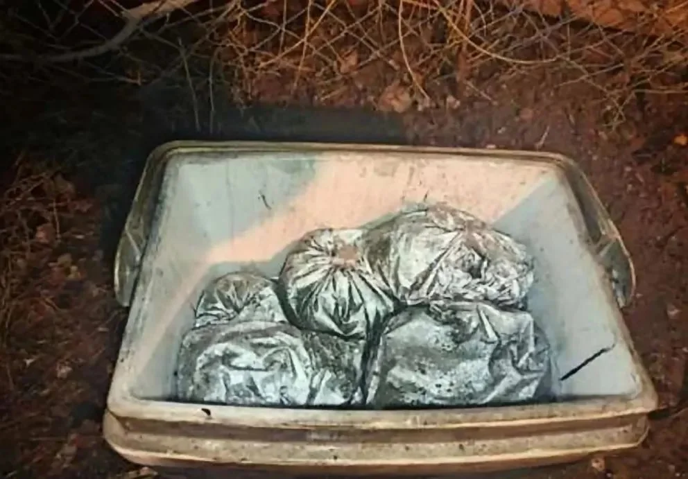 Incendio, marihuana y armas: el inesperado hallazgo en una casa de Balsa Las Perlas