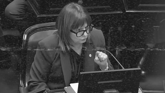 Quedó la mitad del proyecto, pero Patricia Bullrich festejó igual y celebró la “rosca”