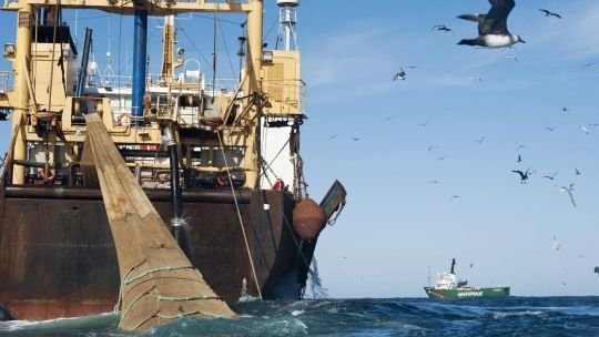 De Europa al Asia Pacífico: quiénes explotan la pesca ilegal en Malvinas bajo licencias británicas