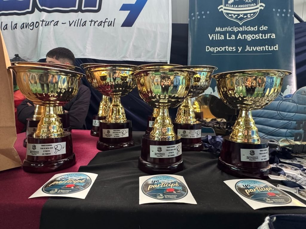 Se desarrolla en Villa La Angostura el Torneo Regional de Tenis de Mesa.