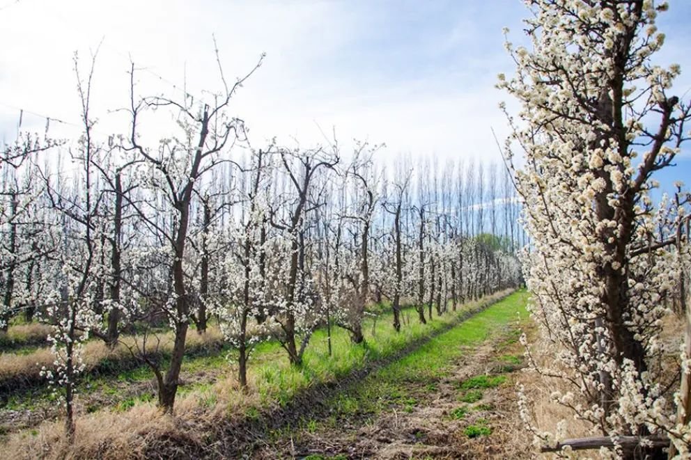 El Encuentro Provincial de Agroturismo llega con nuevas herramientas para el sector