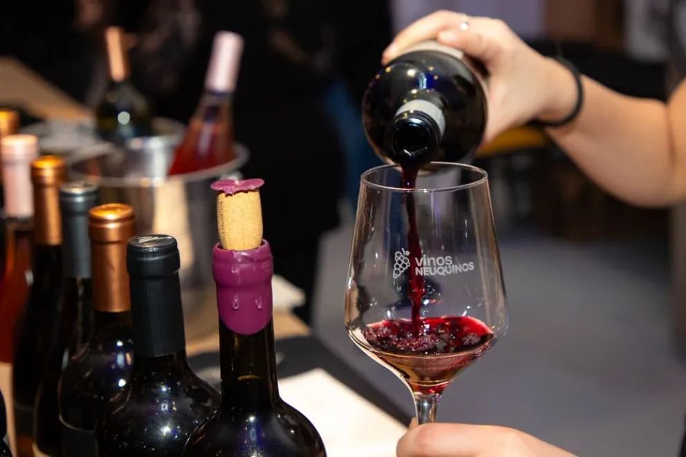 Neuquén eligió al Pinot Noir como su cepa emblema