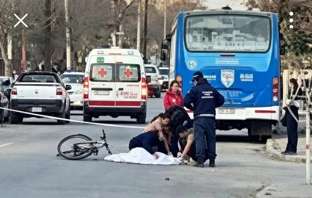 Zapala: una adolescente de 16 años murió atropellada por un colectivo