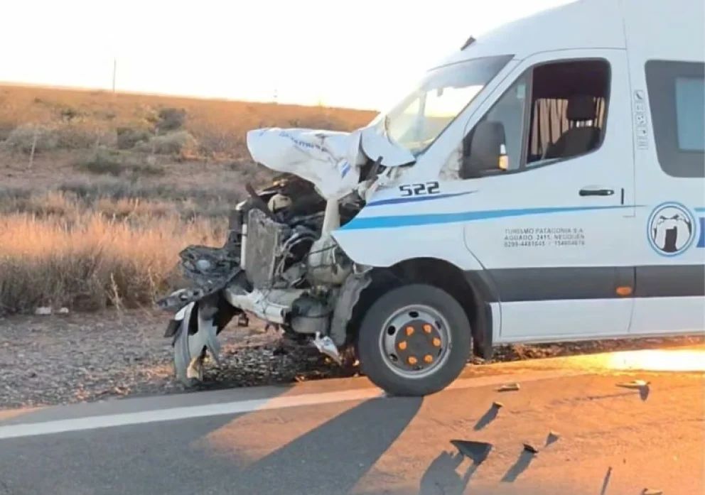 Un minibús chocó contra un caballo en la Ruta 51: viajaban cinco personas