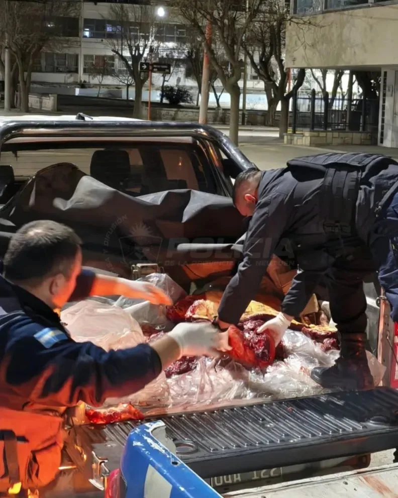 Llevaban más de 200 kilos de carne equina y un caballo robado
