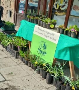 Primavera, naturaleza y compromiso ambiental en Villa La Angostura con entrega de plantines del Vivero Municipal.