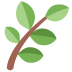 5° Encuentro de Plantas  para la Salud 🌿
