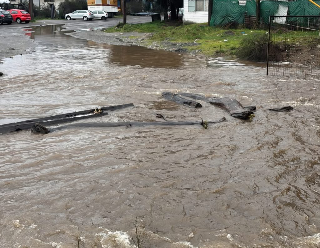 Operativo en arroyo Las Piedritas: Trabajan para desobstruir el cauce ante el aumento del caudal.